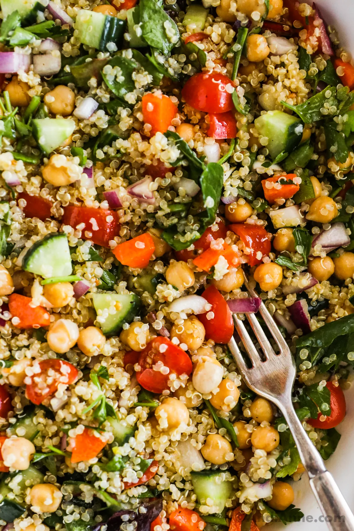 Close up of quinoa salad with a fork.