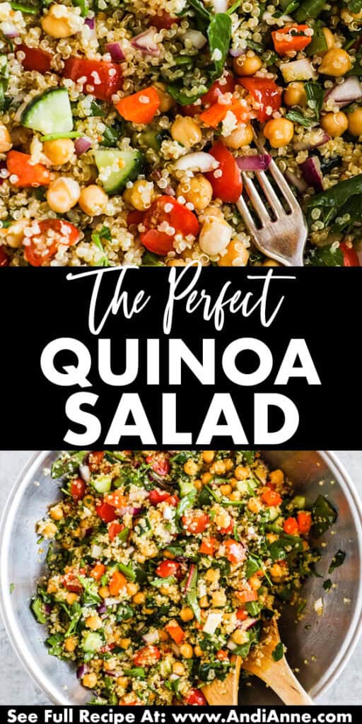 The best quinoa salad recipe in a bowl and close up.