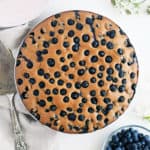 Gluten free blueberry cake on plate with fresh blueberries and cake cutter