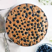Gluten free blueberry cake on plate with fresh blueberries and cake cutter