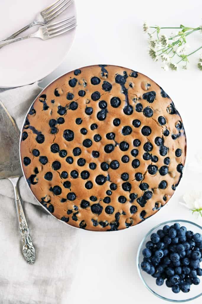 Gluten free blueberry cake on plate with fresh blueberries and cake cutter