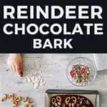 reindeer chocolate bark