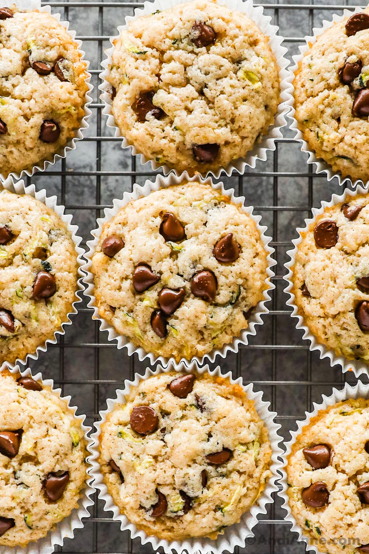 Chocolate chip zucchini muffins