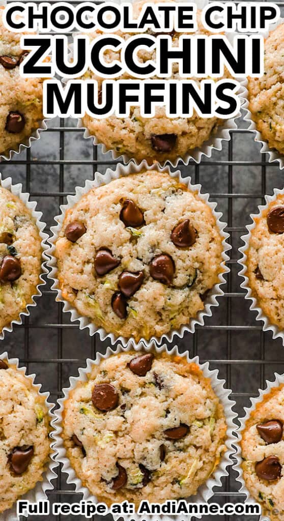 Close up of zucchini chocolate chip muffins
