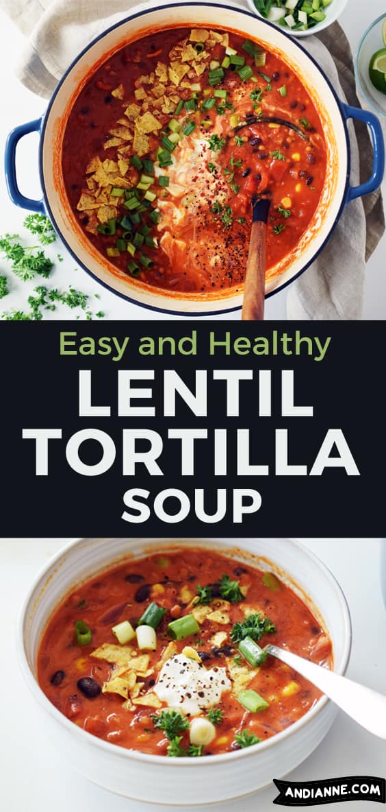Lentil Tortilla Soup Recipe - A Healthy Dinner in 20 Minutes!