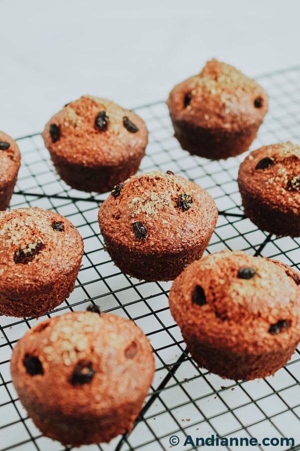 Classic Raisin Bran Muffins The Perfect Grab and Go Breakfast!