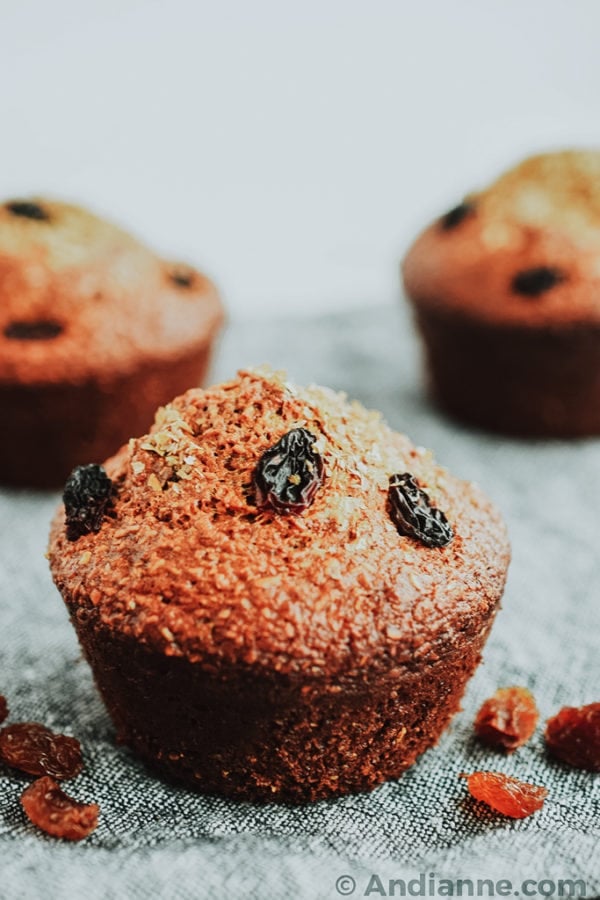 Classic Raisin Bran Muffins The Perfect Grab and Go Breakfast!