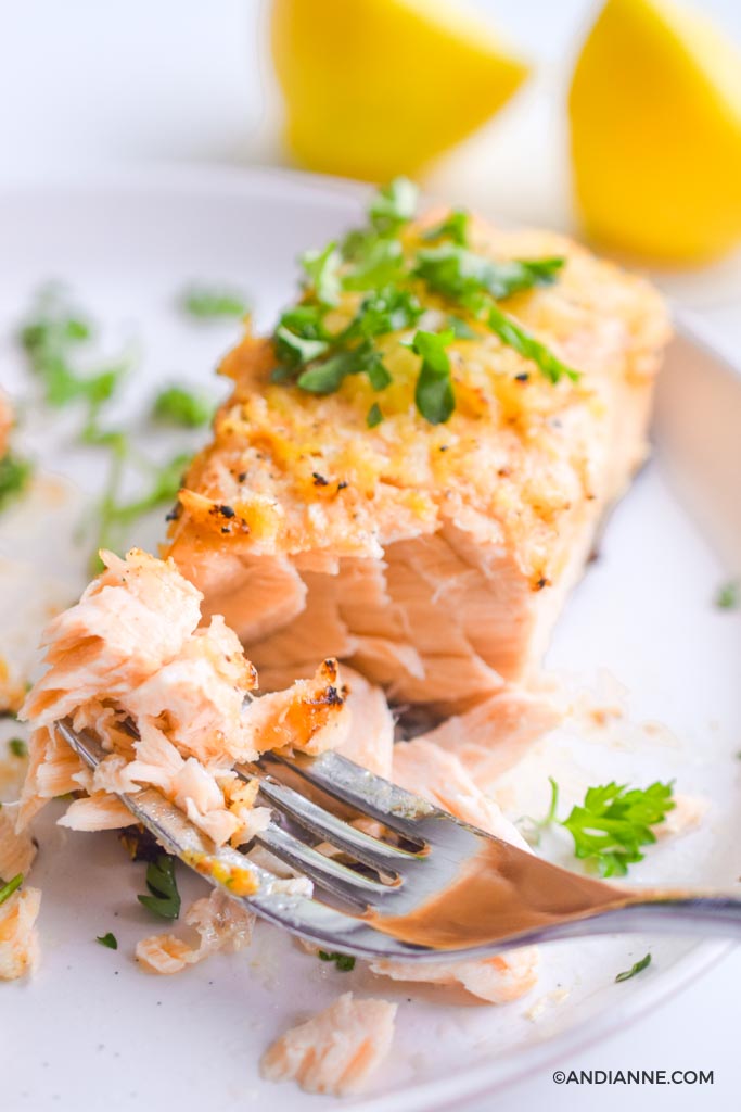 flaked salmon on a fork on white plate