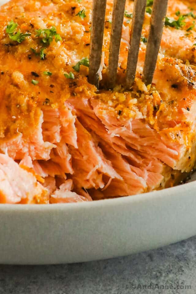 Six Easy Salmon Marinades For Delicious Salmon Every Time