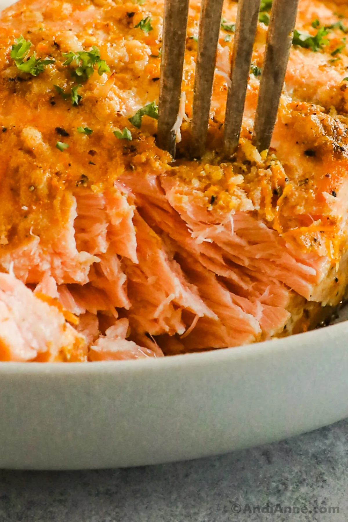 Close up of flaked salmon and a fork.