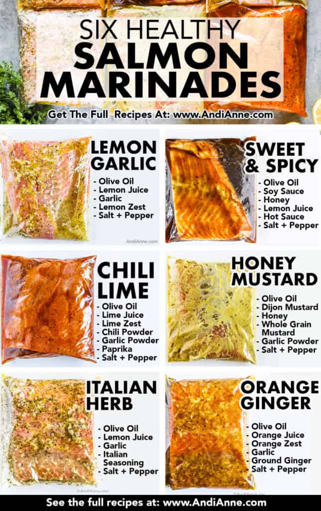 Six salmon marinades in bags with salmon fillets. Lemon garlic, sweet and spicy, chili lime, honey mustard, italian her and orange ginger. All with ingredients listed beside.