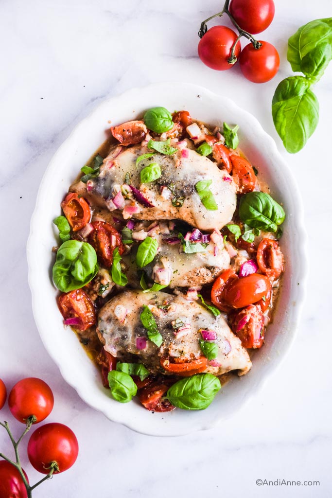 bruschetta chicken: three chicken breasts with mozzarella melted on top, chopped basil and chopped tomatoes surrounding chicken. Tomatoes on vine on counter beside the plate.