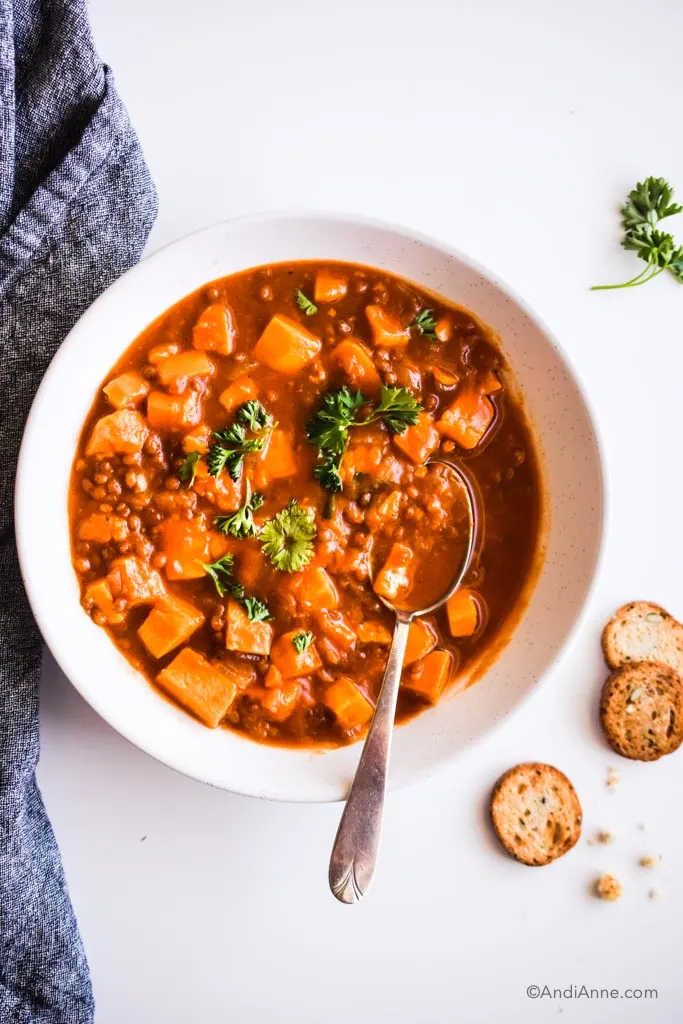 Curried lentil and pumpkin soup