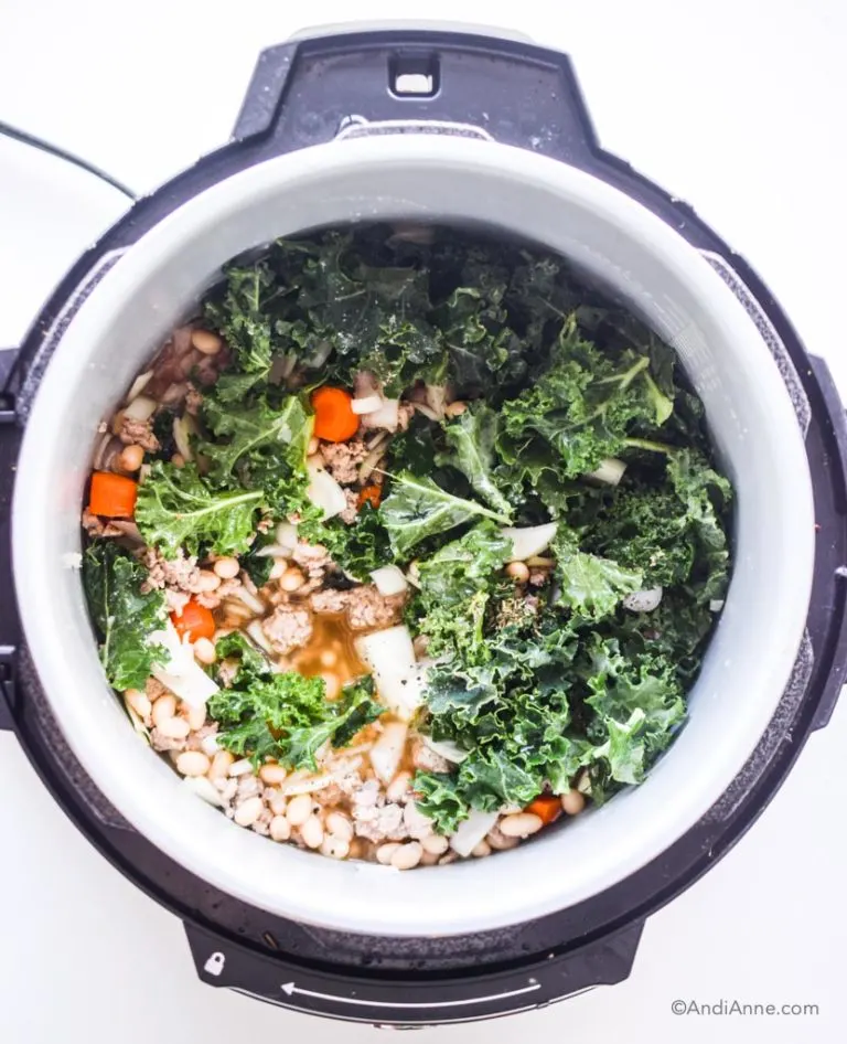 kale, carrots, beans, onions and all other ingredients inside an instant pot.