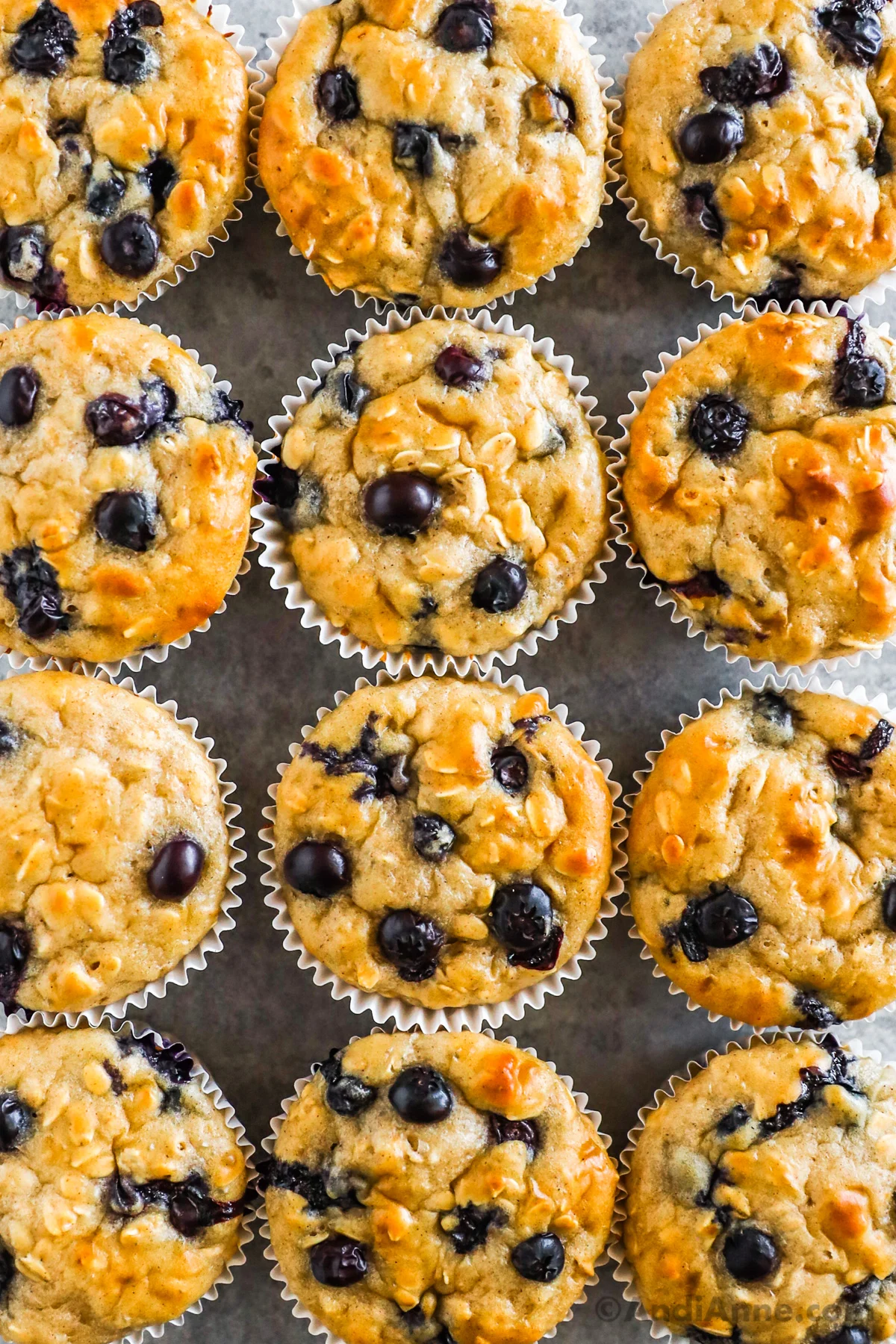 Close up of blueberry yogurt muffins close together.