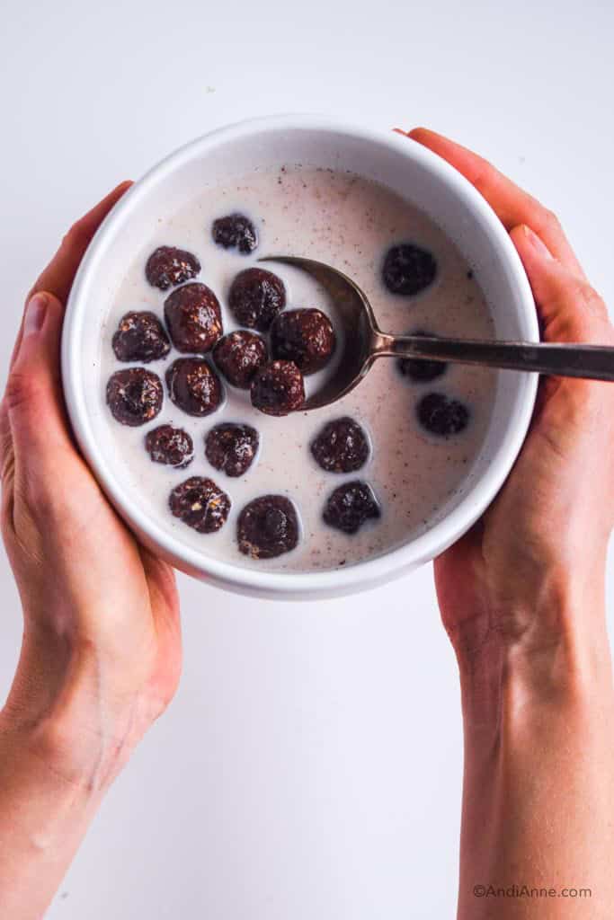 Homemade Chocolate Cereal (Glutenfree, Nutfree, No Refined Sugar)