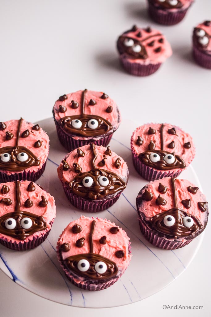 ladybug cupcakes on a white plate