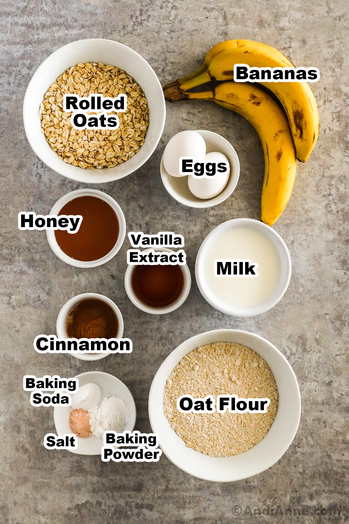 Overhead view of muffin ingredients in white bowls: Rolled oats, bananas, eggs, honey, vanilla extract, milk, cinnamon, baking soda, salt, baking powder and oat flour. 