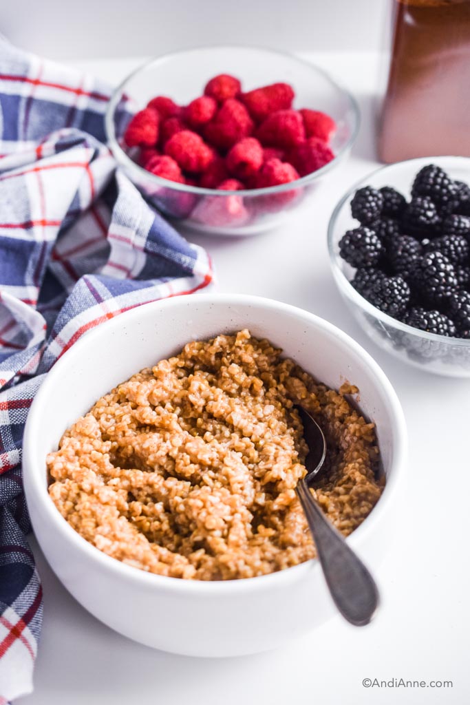 Instant Pot Steel Cut Oats - Easiest Method Turns Out Perfect Every Time