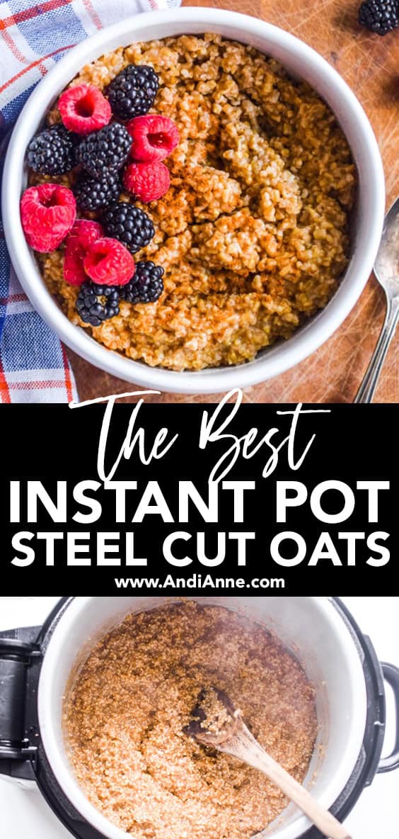 Instant Pot Steel Cut Oats Easiest Method Turns Out Perfect Every Time