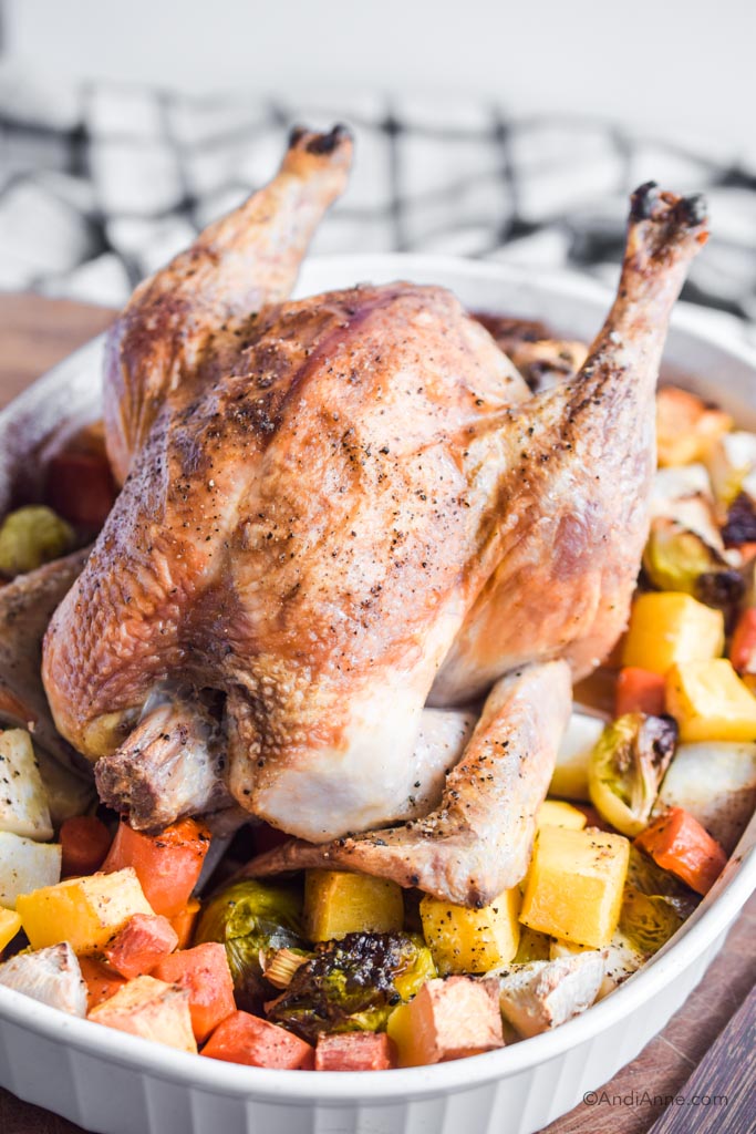 Roasted Chicken With Root Vegetables