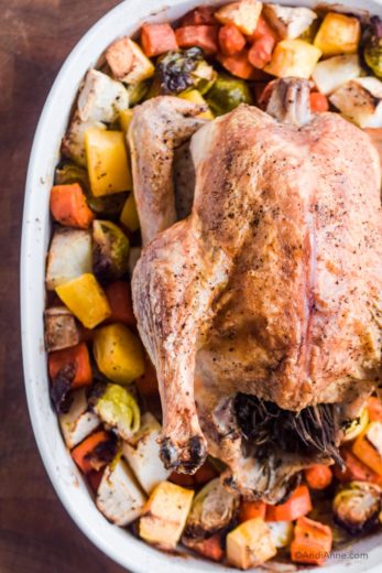 Roasted Chicken With Root Vegetables - Andi Anne