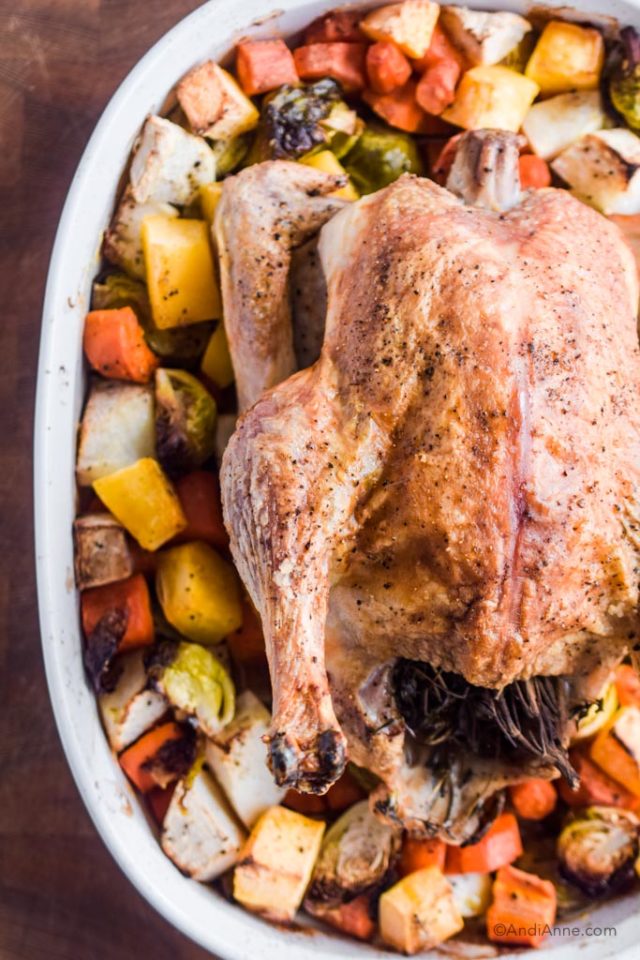 Roasted Chicken With Root Vegetables - Andi Anne