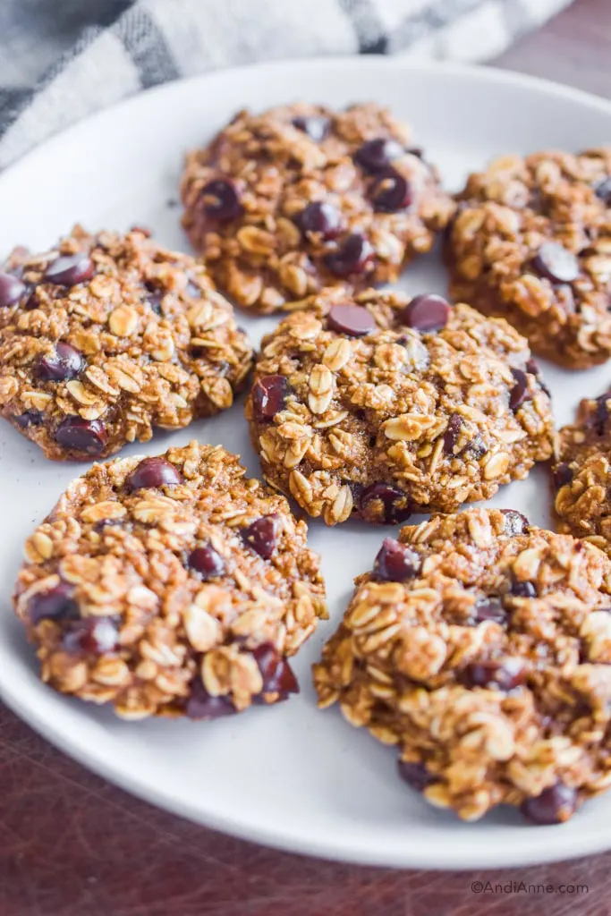 oatmeal chocolate chip cookies on a white plate