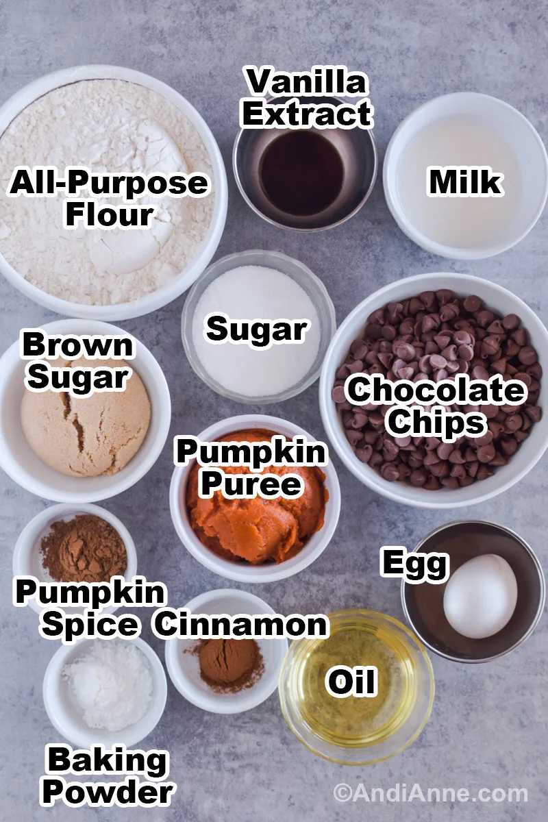 Recipe ingredients in bowls on the counter including bowls of flour, milk, sugars, chocolate chips, pumpkin puree, pumpkin pie spice, cinnamon, oil and baking powder.