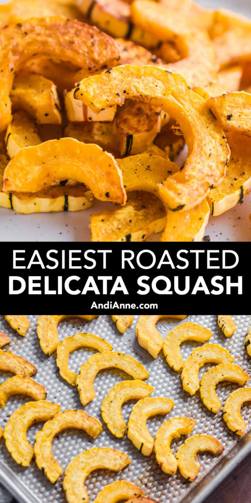 Want to learn how to bake delicata squash? The process is very easy. This post will walk you through it including all the chef's tips to get the most delicious roasted squash!