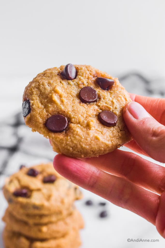 Hand holding chickpea chocolate chip cookie with a stack of cookies blurred in background.