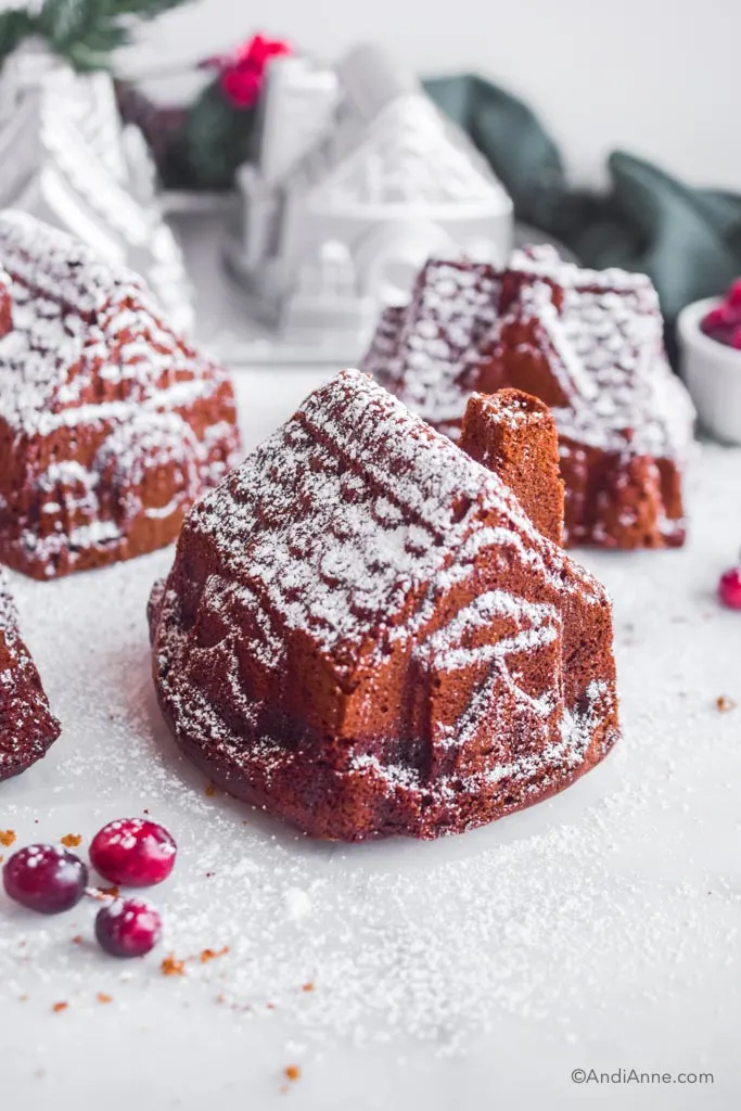 3 gingerbread house cakes with powdered sugar sprinkled overtop and cranberries around it. nordic ware gingerbread house duet pan in background. 