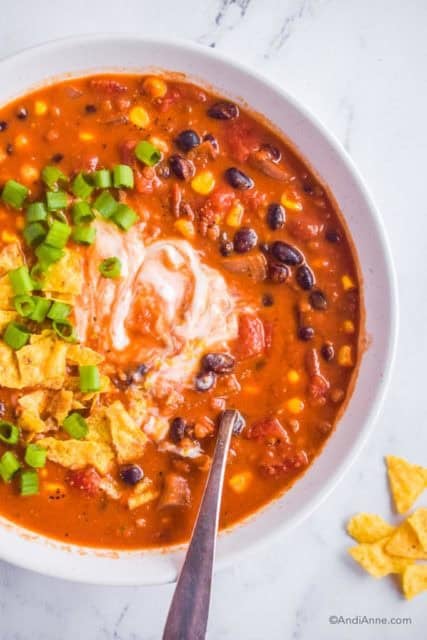 Vegetarian Tortilla Soup