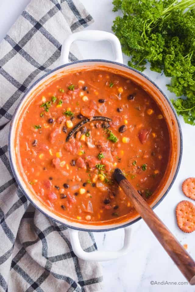 Vegetarian Tortilla Soup