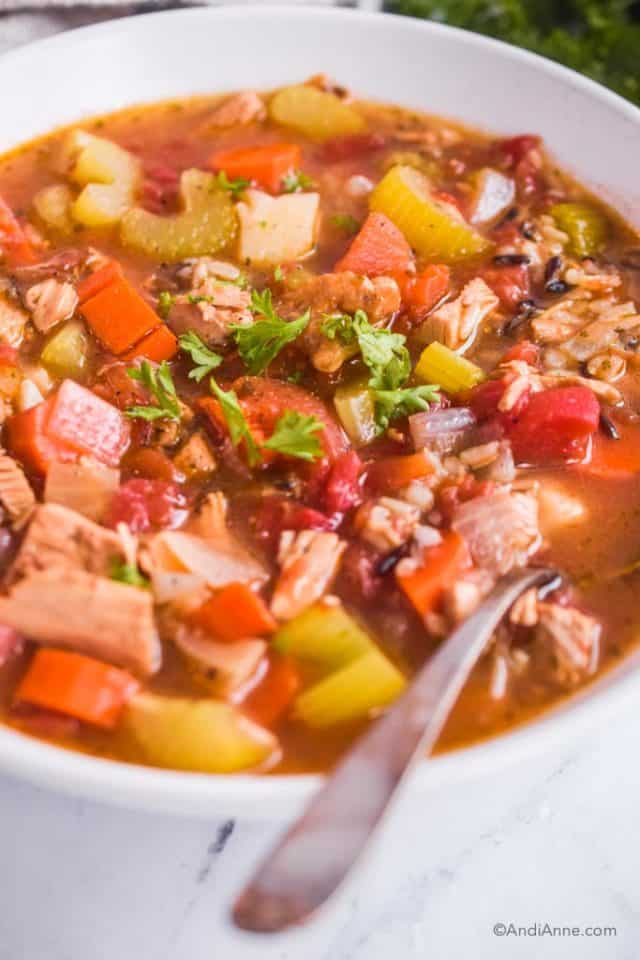 Turkey Carcass Soup