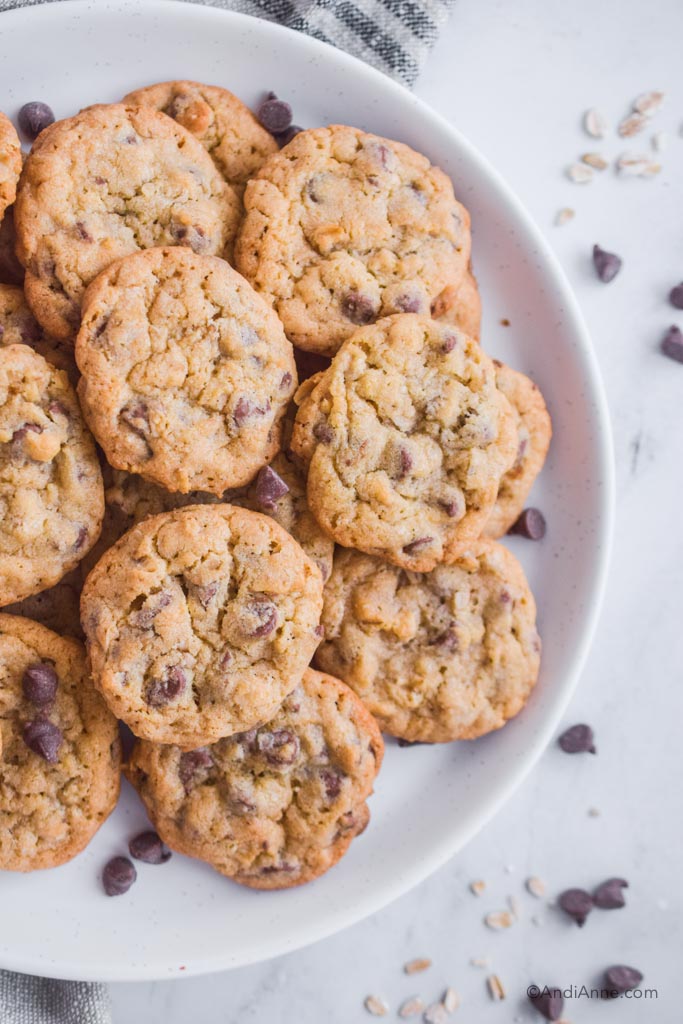 Chewy Chocolate Chip Oat Cookies