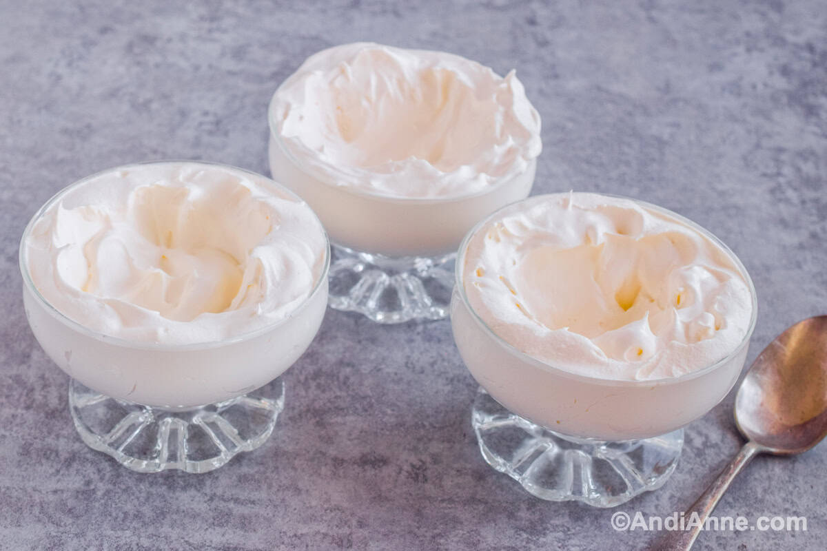 Easy Pudding In A Cloud Dessert Recipe