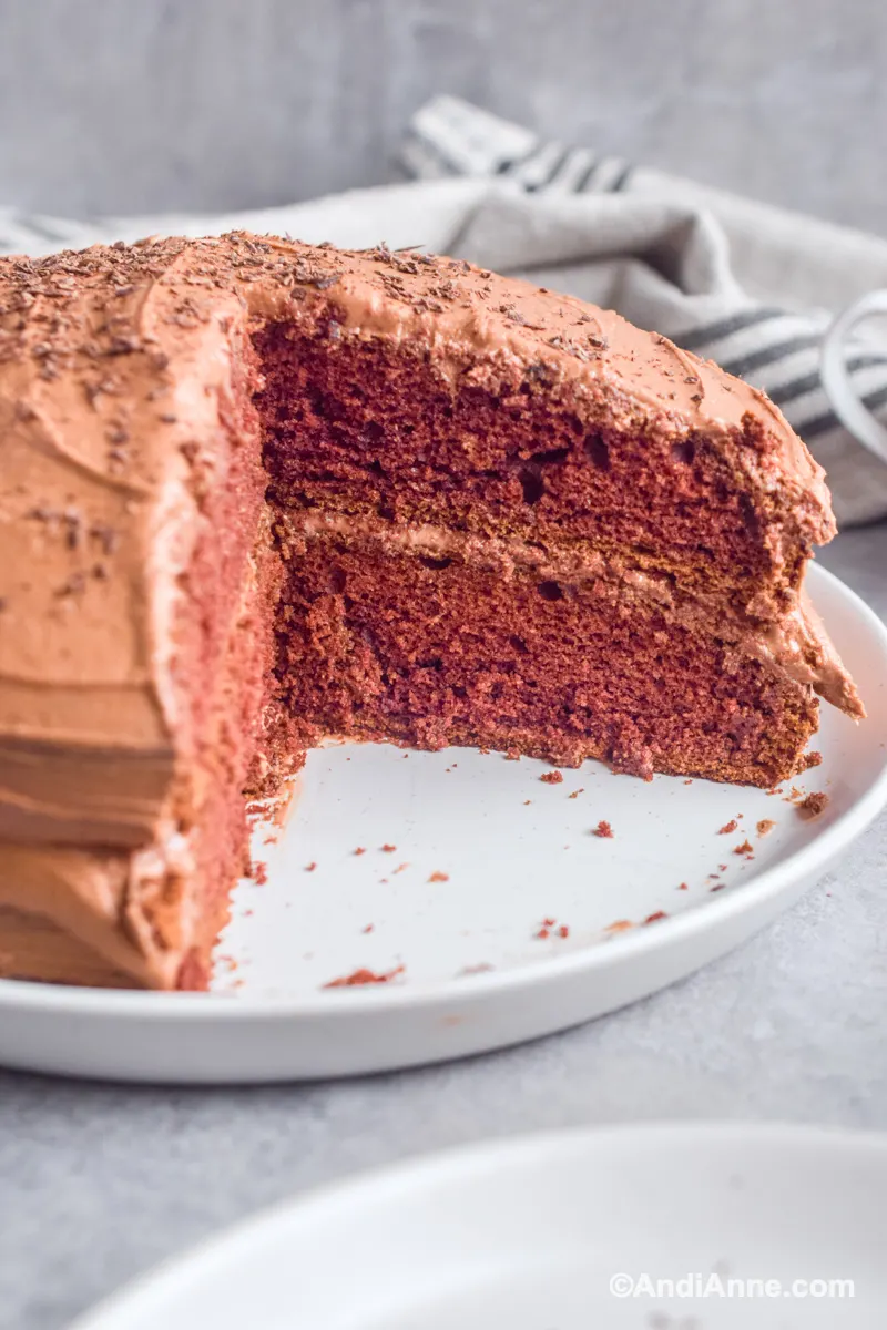 Classic Devils Food Cake - Vintage Recipe