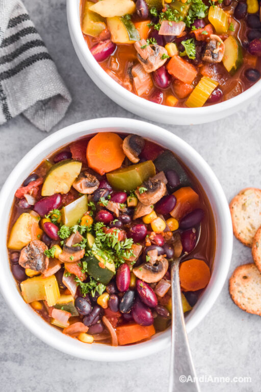 Meatless Vegetable Chili - Andi Anne