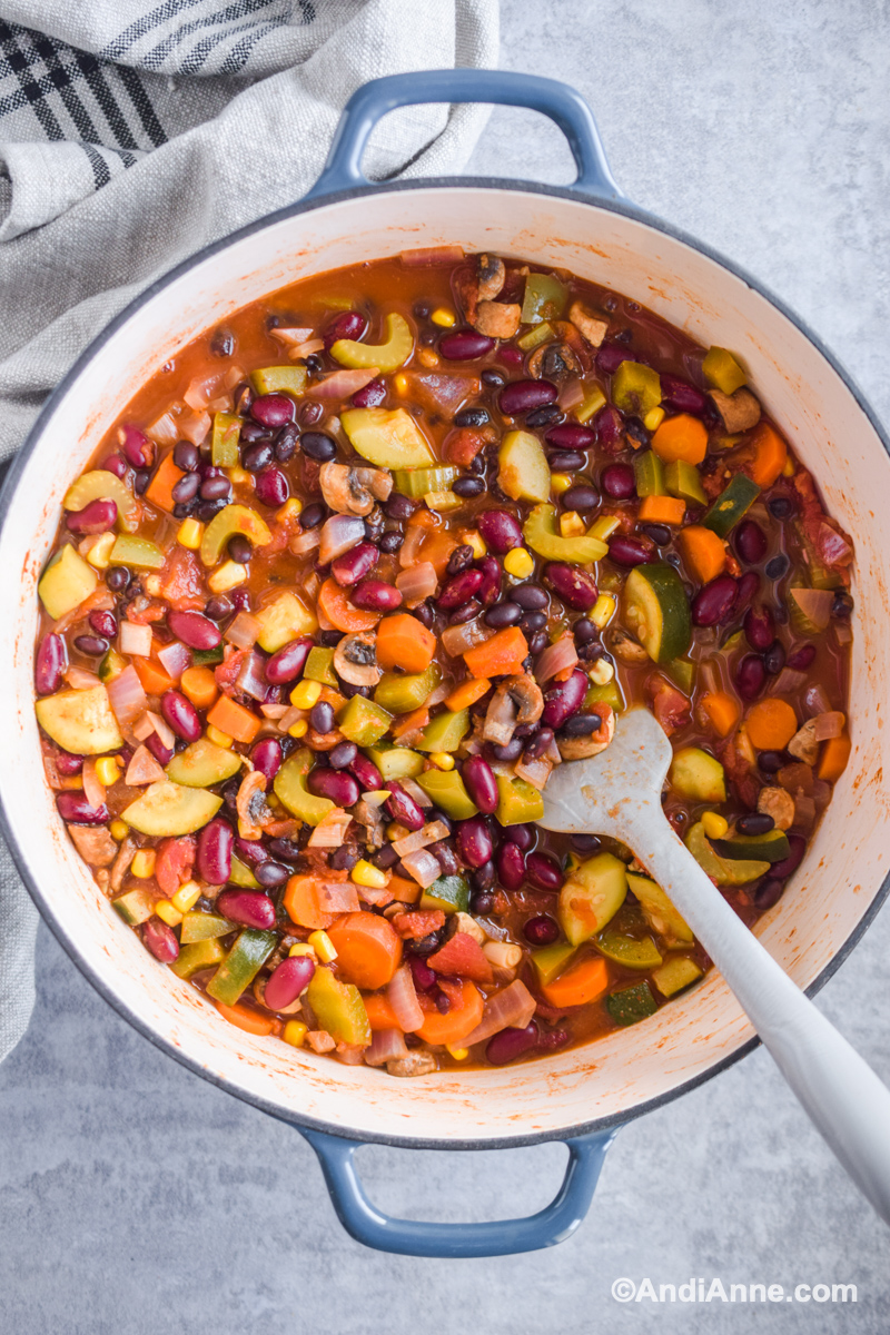 https://andianne.com/wp-content/uploads/2022/03/meatless-vegetable-chili-4.jpg