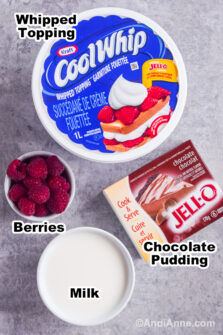 Easy Pudding In A Cloud Dessert Recipe