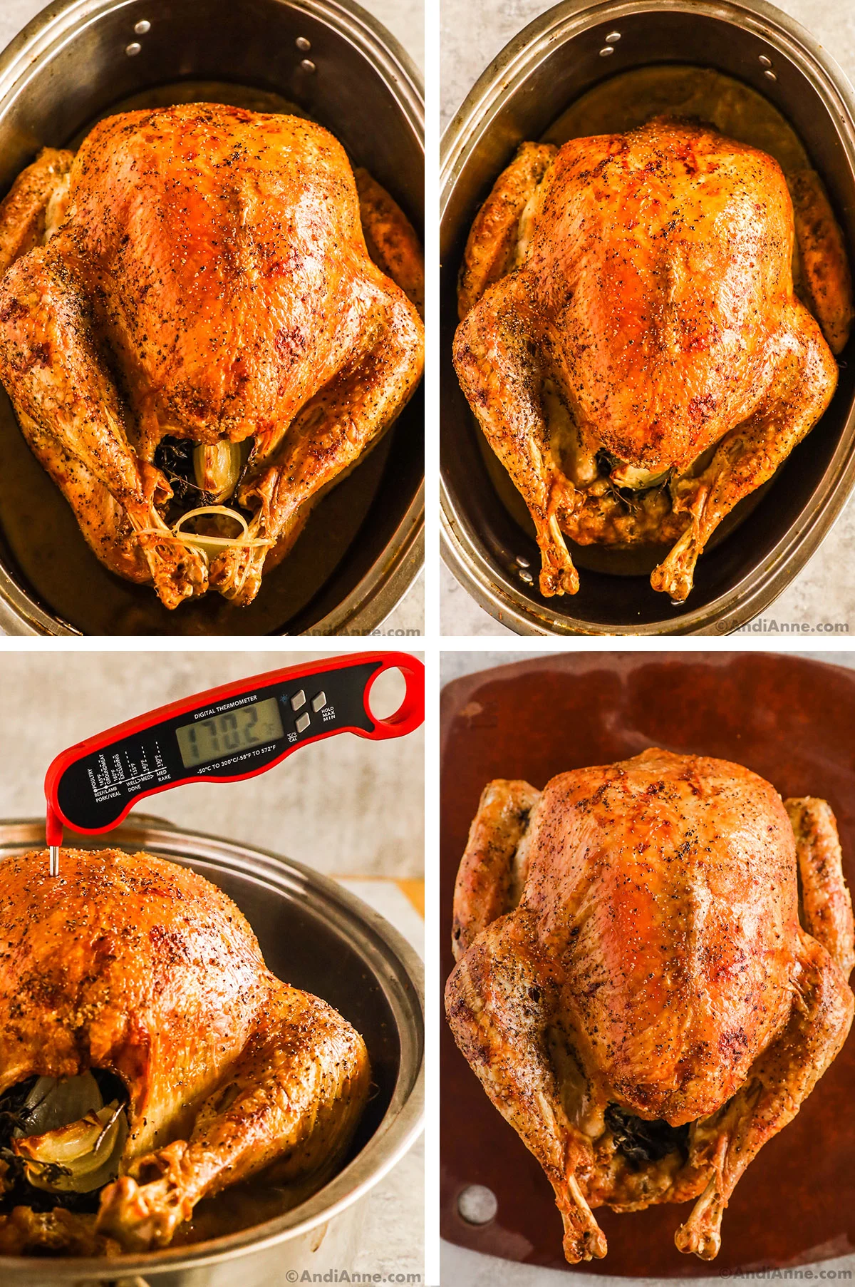 A roasted turkey in a turkey pan, a digital meat thermometer poking into the turkey meat, and the cooked turkey on a cutting board.