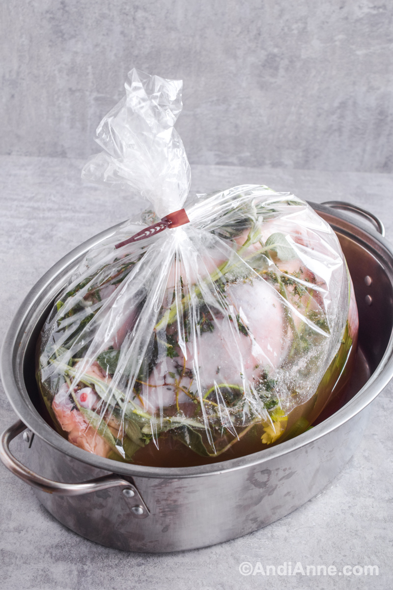 Turkey with herbs, spices and water inside a large bag tied at the top. Turkey is sitting in a roasting pan.