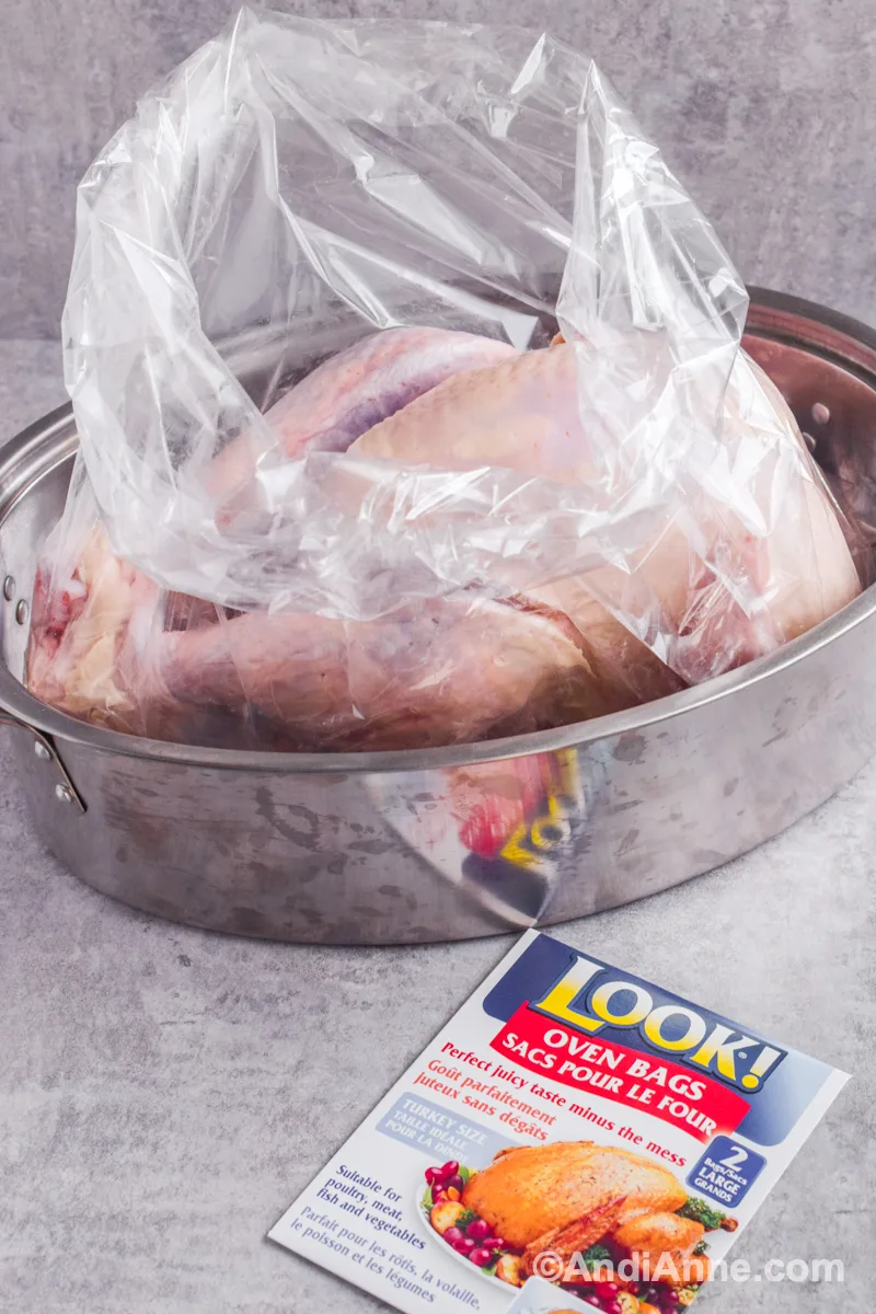 Raw turkey in a bag sitting in a roasting pan. A package of turkey oven bags beside it.