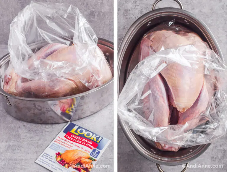 Raw turkey in a large turkey bag inside a roasting pan.