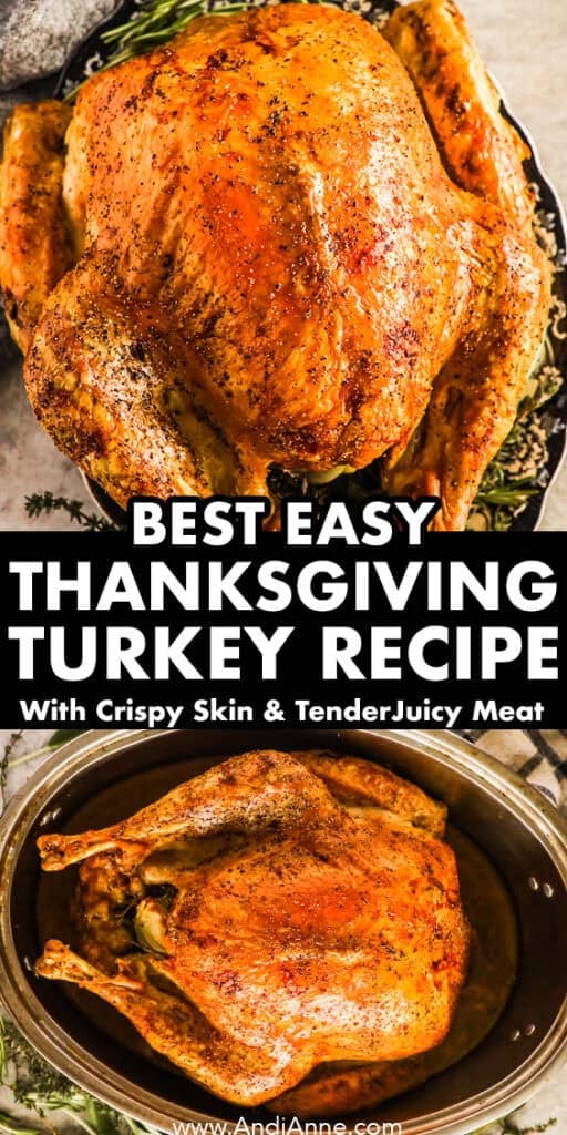 A roasted turkey, first on a plate and also in a roasting pan with the text "best easy thanksgiving turkey recipe"