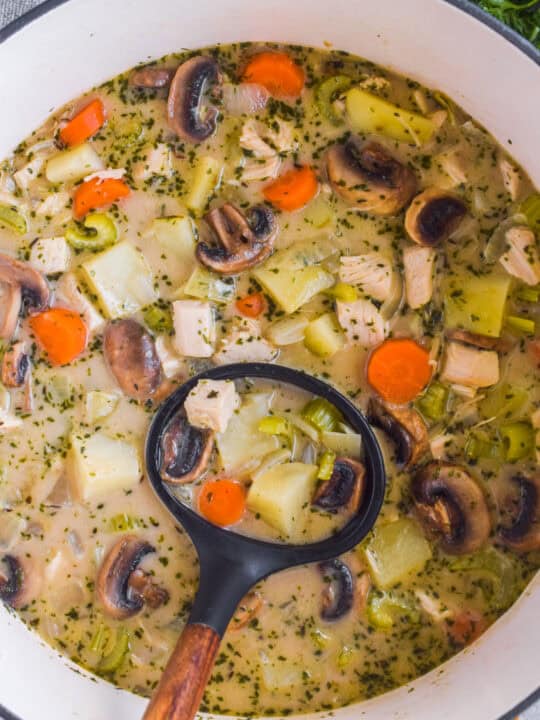 Turkey Broth - Andi Anne