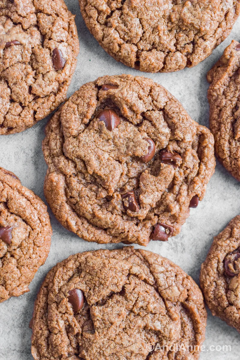 Close up of double chocolate chip cookies on a counter.