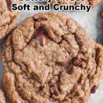 Close up of soft and crunchy bakery style chocolate cookies