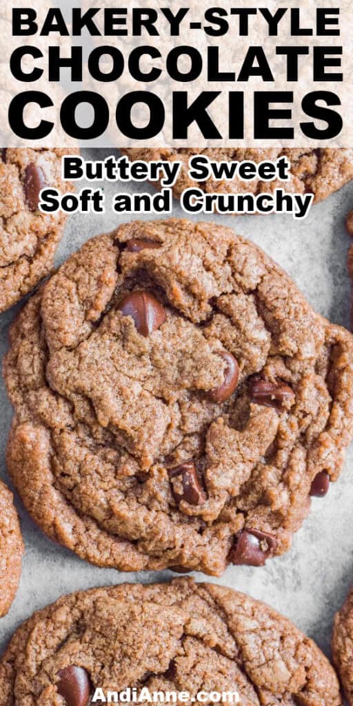 Close up of soft and crunchy bakery style chocolate cookies